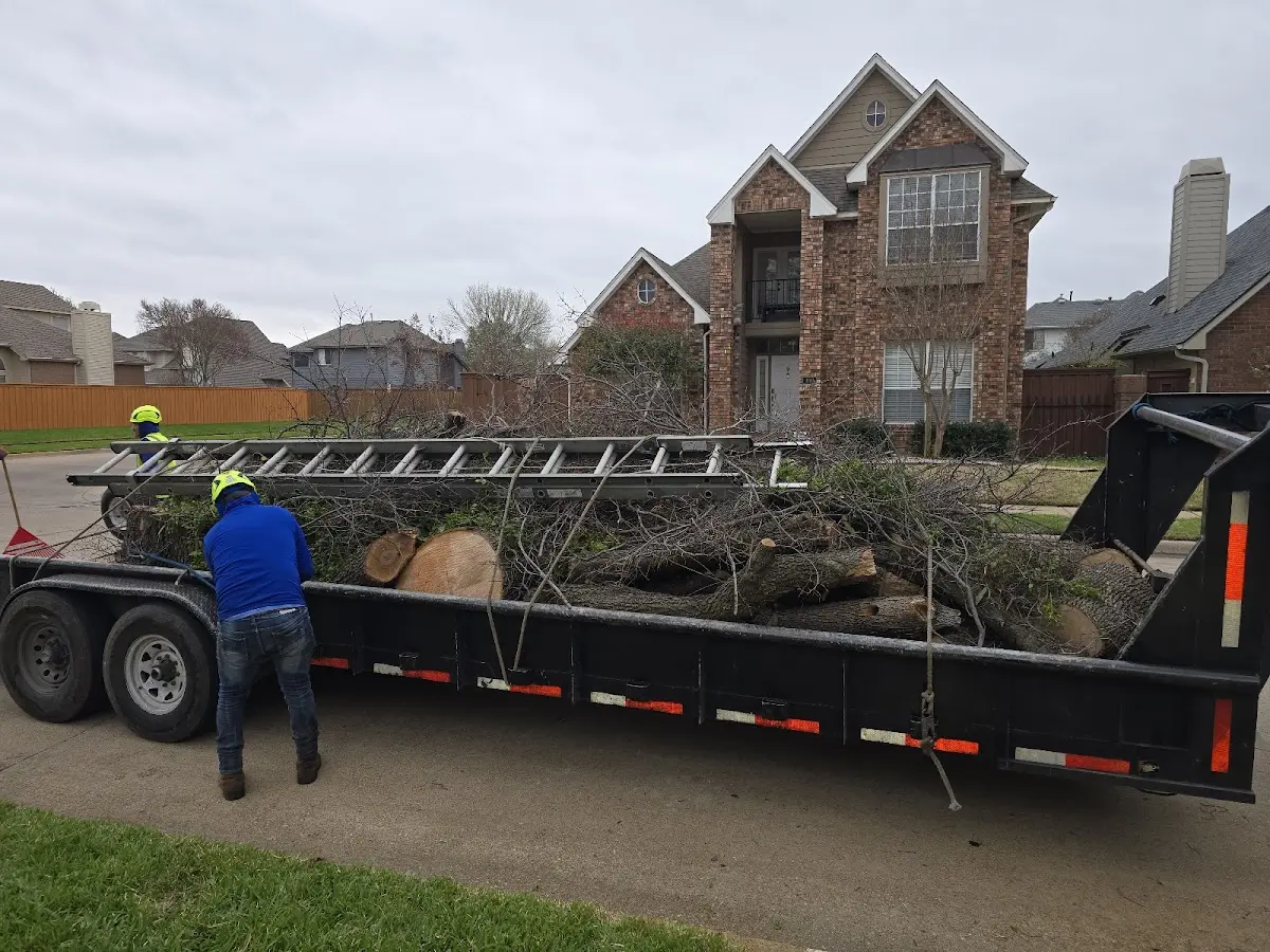 Expert Tree Pest Control with proper safety equipment in Hoyt